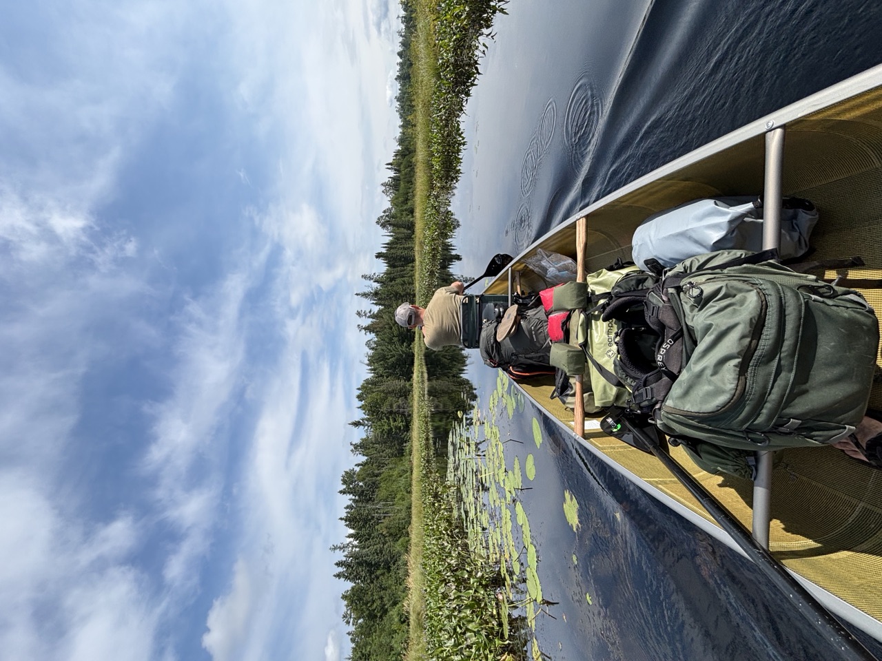Paddling a loaded canoe through a lily-pad channel in the Boundary Waters
